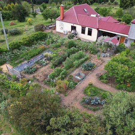 Cherry Top Farmstay - Boutique Eco Village Lilydale Exteriér fotografie