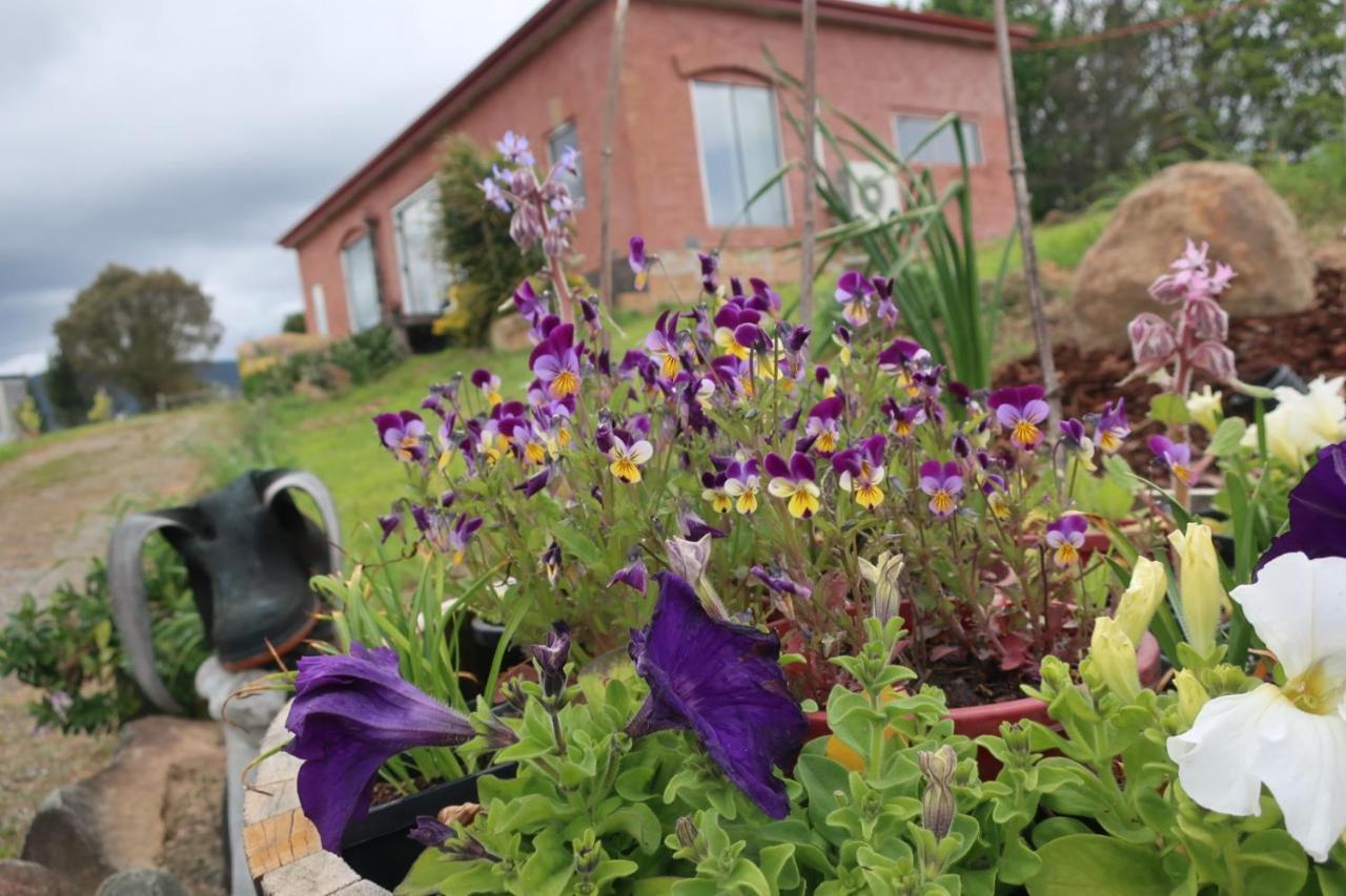 Cherry Top Farmstay - Boutique Eco Village Lilydale Exteriér fotografie