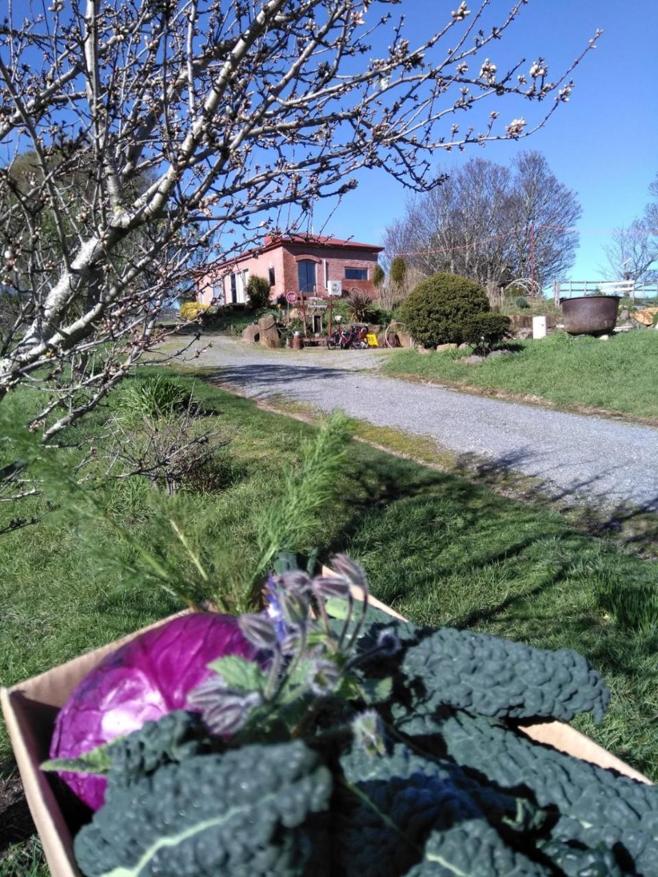 Cherry Top Farmstay - Boutique Eco Village Lilydale Exteriér fotografie