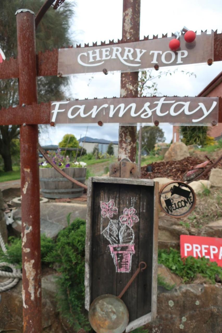 Cherry Top Farmstay - Boutique Eco Village Lilydale Exteriér fotografie