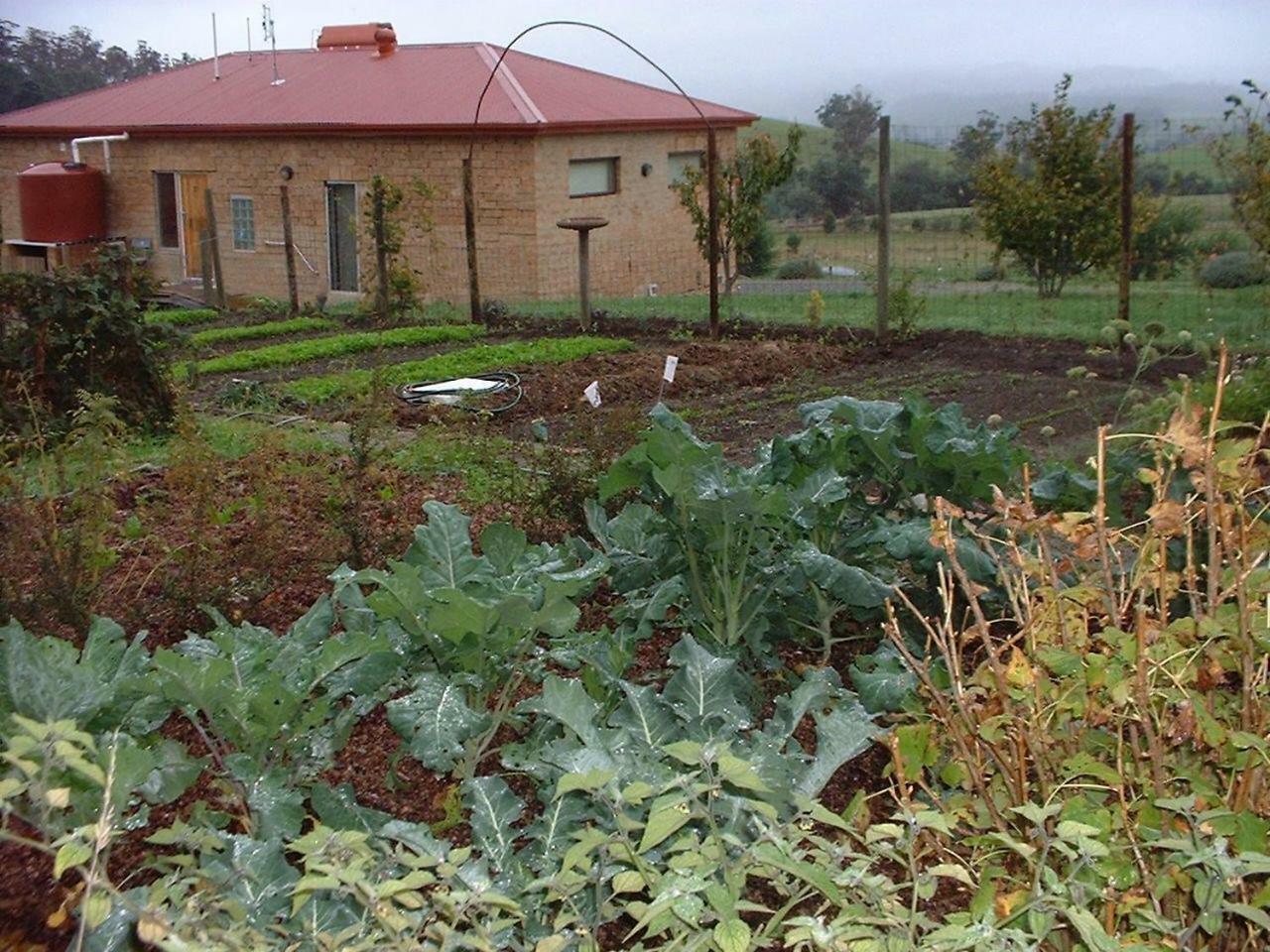 Cherry Top Farmstay - Boutique Eco Village Lilydale Exteriér fotografie