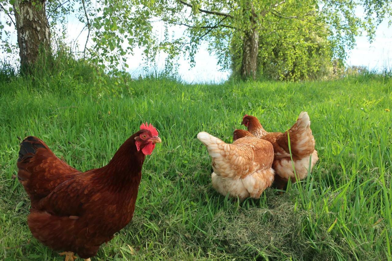 Cherry Top Farmstay - Boutique Eco Village Lilydale Exteriér fotografie