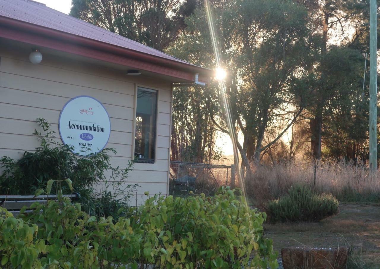 Cherry Top Farmstay - Boutique Eco Village Lilydale Exteriér fotografie
